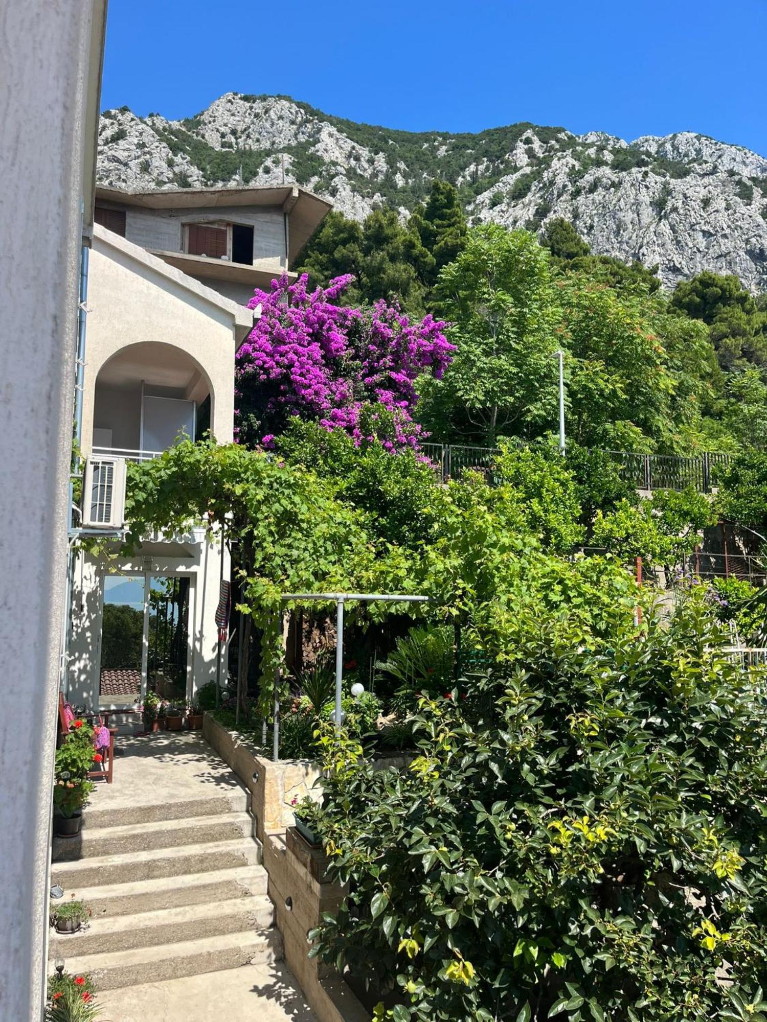 Apartment Davor Gradac  Exterior photo